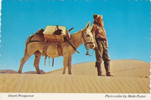 Desert Prospector With His Burro Small Donkey