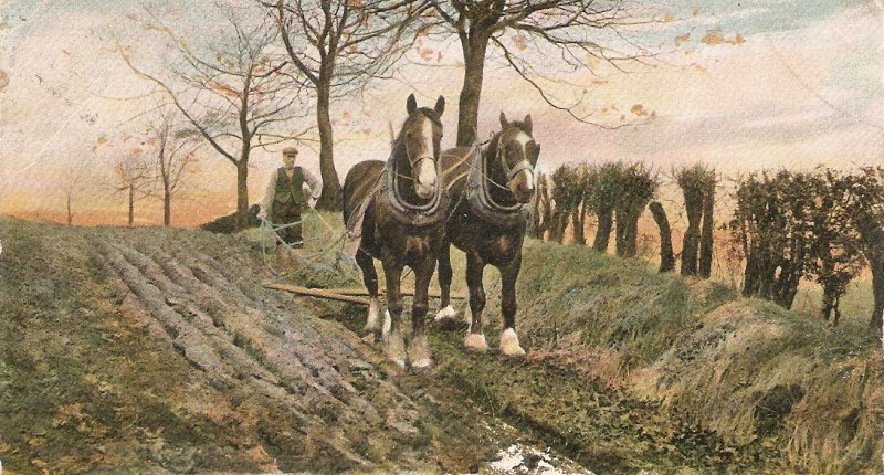 Ploughing. Horses Tuck  Animal Life Ser. PC # 1421