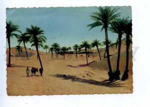 196268 AFRICA desert TUNIS 1948 year RPPC