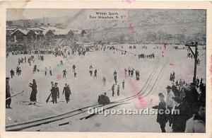 Winter Sports Bear Mountain, New York, NY, USA Sleigh Riding Postcard