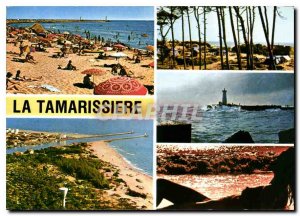 Postcard Modern Traveling Cote Mediterraneenne The Tamarissiere Herault