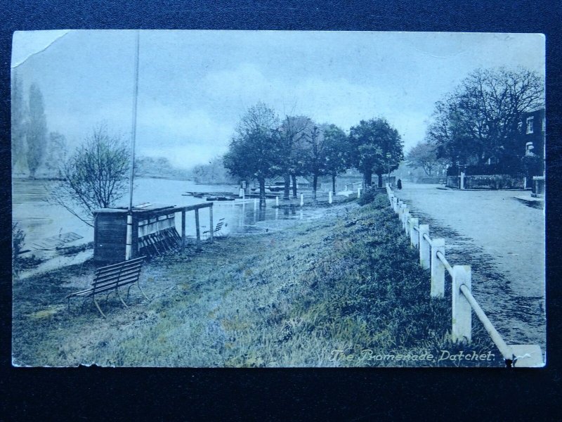 Berkshire DATCHET The Promenade - Old Postcard by The Tea Rooms, Datchet