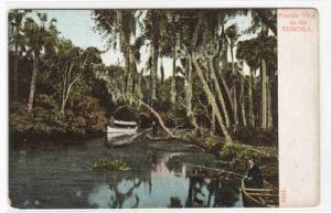 Motor Launch Boat Tomoka River Florida 1910c postcard