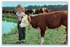 c1950s Putting Rope in Cow, Greetings from Monroeton Pennsylvania PA Postcard