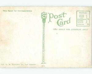 Divided-Back FIGHTING ALLIGATORS AT CALIFORNIA GATOR FARM Los Angeles CA E8564