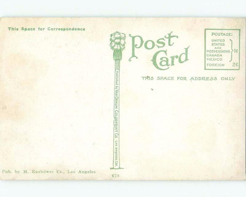 Divided-Back FIGHTING ALLIGATORS AT CALIFORNIA GATOR FARM Los Angeles CA E8564