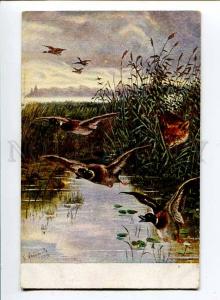 257357 Wild HUNT Duck FOX in Bog Vintage N.K.G. postcard