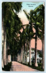 HONOLULU, HI Hawaii ~ PALM AVENUE  QUEEN'S HOSPITAL?   1912  Postcard