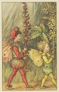 The Agrimony Fairies Old 1940s Fairy Book Illustration Postcard