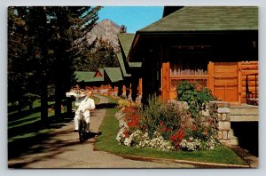 Jasper Park  Alberta  Canada  Postcard