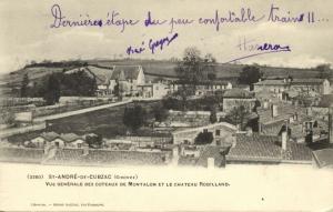 france, St.-ANDRE-DE-CUBZAC, Vue Generale des Coteaux de Montalon et Chateau