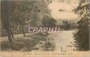 Old Postcard Lyon Tete d'Or Park The corner of Swans