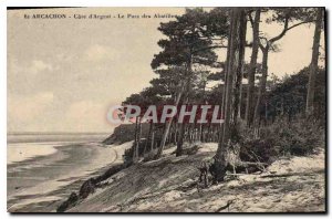 Old Postcard Arcachon Agent Riviera Park Abatilles