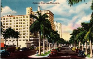 Vtg Miami Florida FL Biscayne Boulevard Royal Palms Old Cars Hotels Postcard