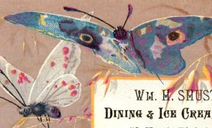 1880s Wm. H. Shuster's Ice-Cream Saloon Moth Butterfly P115