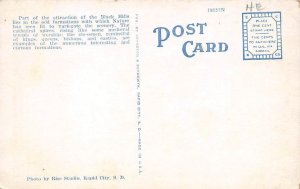 Road scene in Custer State Park Black Hills SD Postcard