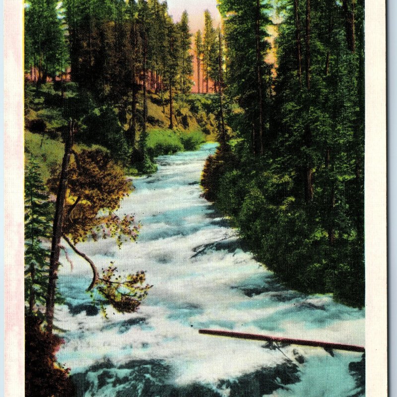 c1940s Payette River, ID Rapids Falls Emmett & Horseshoe Bend Prentiss PC A244