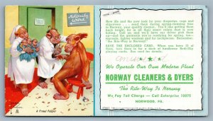VICTORIAN TRADE CARD NORWAY CLEANERS & DYERS NORWOOD PA Monkey doctors