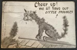 Vintage Postcard Used Cat “Cheer Up...” LB