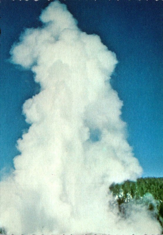 Yellowstone National Park Old Faithful Geyser