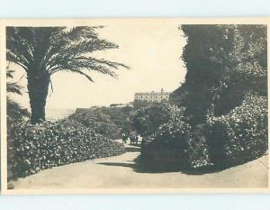 old rppc TREES ALONG PATH Oran Algeria HM1627