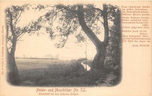 Lot209  germany heather and moor pictures badener bergen