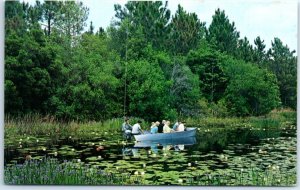 M-51637 Tour Group Cruise By Boat Okefenokee Swap Park Waycross Georgia