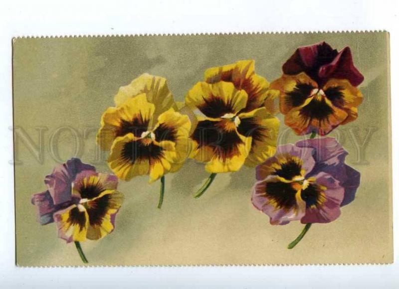 187649 Flying PANSY Flowers by C. KLEIN vintage GOM PC