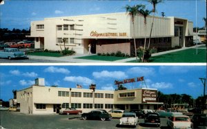 St Petersburg Florida Citizens National Bank c1950-60s Vintage Postcard