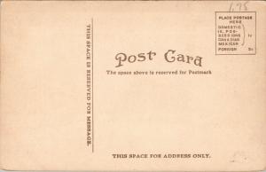 Escanaba Michigan~Wells & Ogden Avenues~Y Intersection~Homes~Autos~1908 Postcard