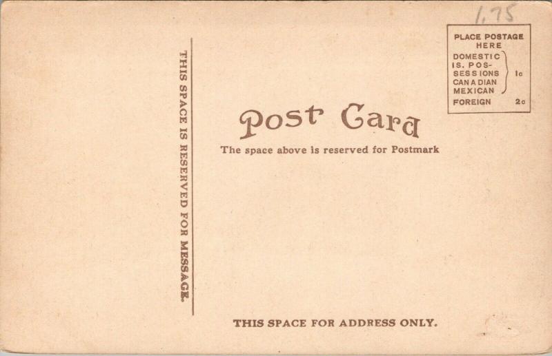 Escanaba Michigan~Wells & Ogden Avenues~Y Intersection~Homes~Autos~1908 Postcard