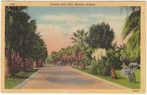 Country Club Park, Phoenix, Arizona, Vintage 1952 Linen Postcard
