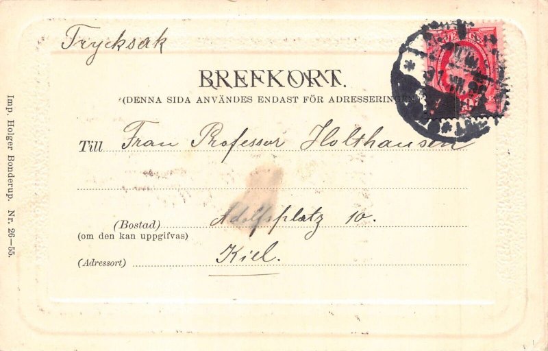 A225 Passepartout 1899 Sweden House in Winter New Year greetingsvintage postcard