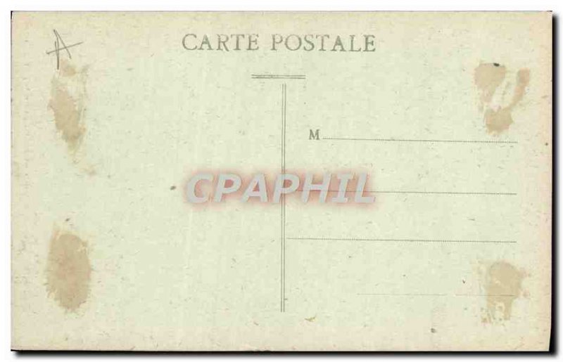 Postcard Old Course Museum Tours the giant cedar