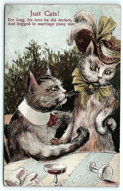 VTG Postcard Just Cats 1910 ANTHROPOMORPHIC Drinking Wine OH Ohio Cancel A4