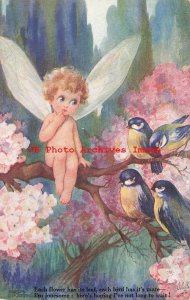 Fred Spurgin, Set of 6 Postcards, Tuck No 3032, In Fairyland, Frogs Birds Owl