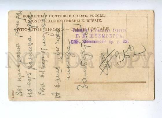 160880 Russia PETERSBURG Suburb Dacha Vintage postcard