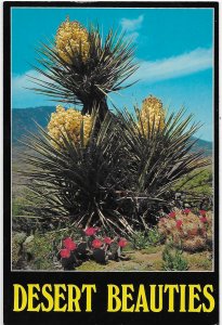 Desert Beauties Cacti Yucca Blooms, Beavertail, & Strawberry Hedge Hog 4 by 6