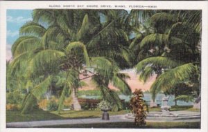 Florida Miami Along North Bay Shore Drive