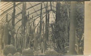 C-1910 Pittsburgh Pennsylvania Phipps Conservatory Cactus Garden RPPC 8567
