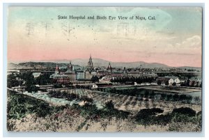 1909 State Hospital and Birds Eye View of Napa CA Posted Postcard 