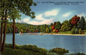 Tennessee Cumberland County Lake and Bathers At Cumberland Mountain State Park