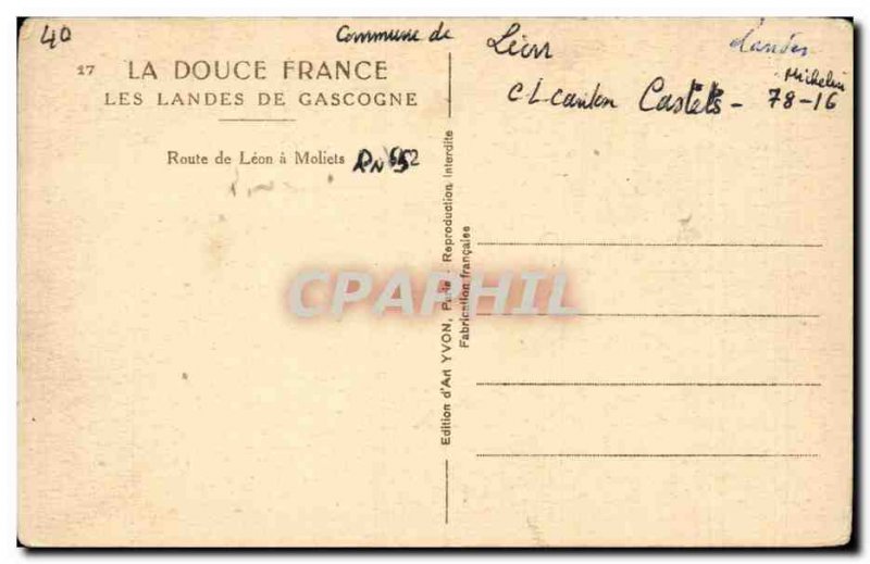 Old Postcard Landes de Gascogne Road Leon Moliets