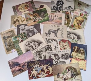 Lot of 25 Dog Postcards