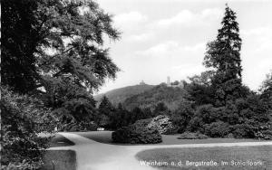 BG23531 weinheim  a d bergstrasse im schlosspark  germany CPSM 14x9cm