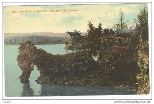 Sea Lion, Silver Island, Fort William, Ontario, Canada,  00-10s