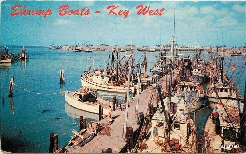 1940s Shrimp Boats Harbor Key West Florida postcard 2720