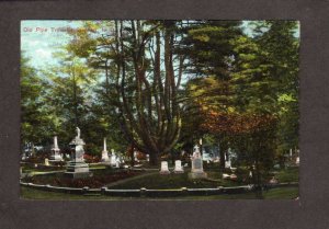 NB Old Pine Trees St Stephen New Brunswick Carte Postale Postcard Vintage 1908