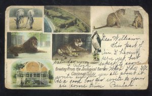 CINCINNATI OHIO ZOOLOGICAL GARDEN ZOO TIGER LION LEOPARD VINTAGE POSTCARD