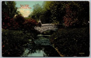 Vtg Cedar Rapids Iowa IA Stone Bridge Bever Park 1910s View Old Postcard